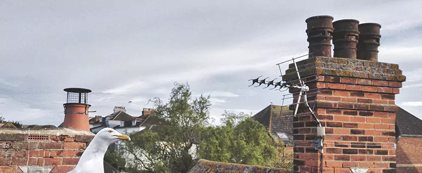 Chimney Cleaning And Restoration in Woodmere, New York